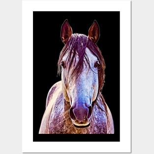 Oil Paint White Horse Posters and Art